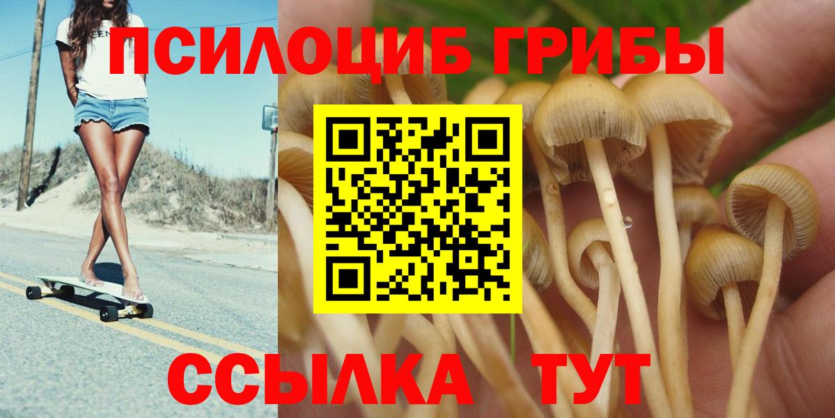 Псилоцибиновые грибы мухоморы  Галлюциногенные грибы Psilocybine cubensis  Стрежевой  где продают наркотики  Вход с VPN 